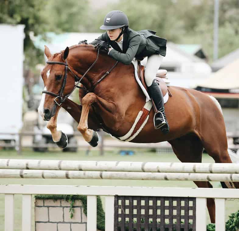 45 great show names for chestnut horses