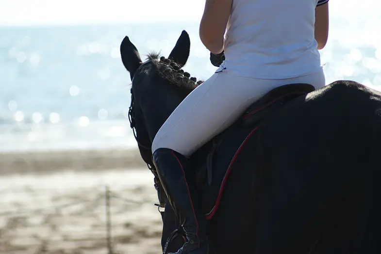 Breeches and jodhpurs are the best choice for horseback riding