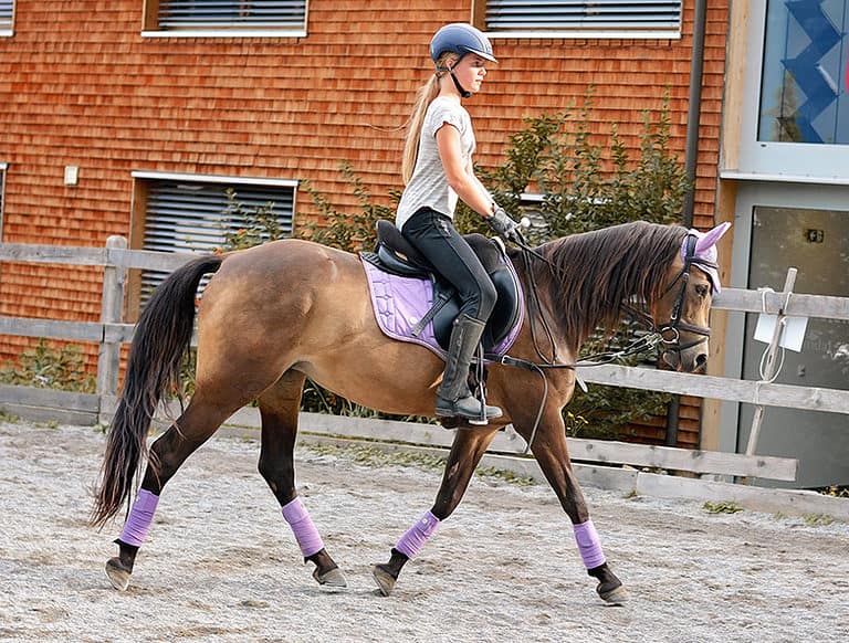 Trotting Diagonals What Are They & How To Get Them Right Horse FactBook