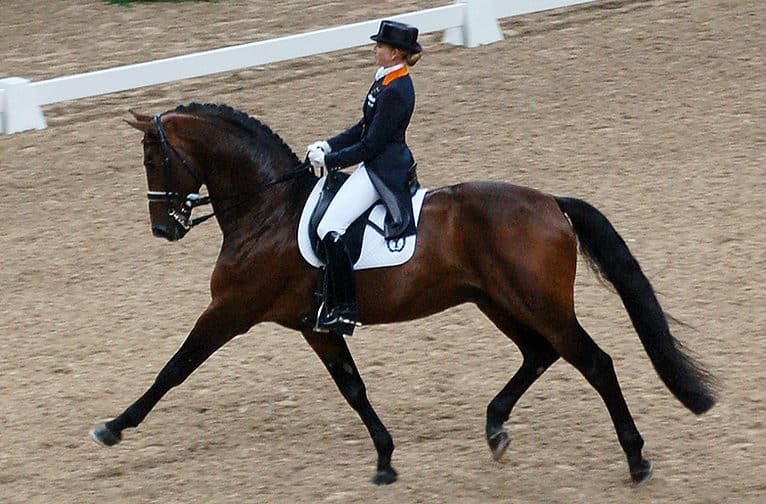 Trotting Diagonals What Are They & How To Get Them Right Horse FactBook