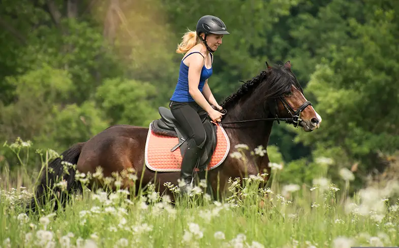 Are you happy for someone else to ride your horse?