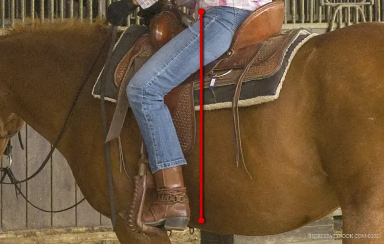 Your lower leg should be loose and by your horse's side