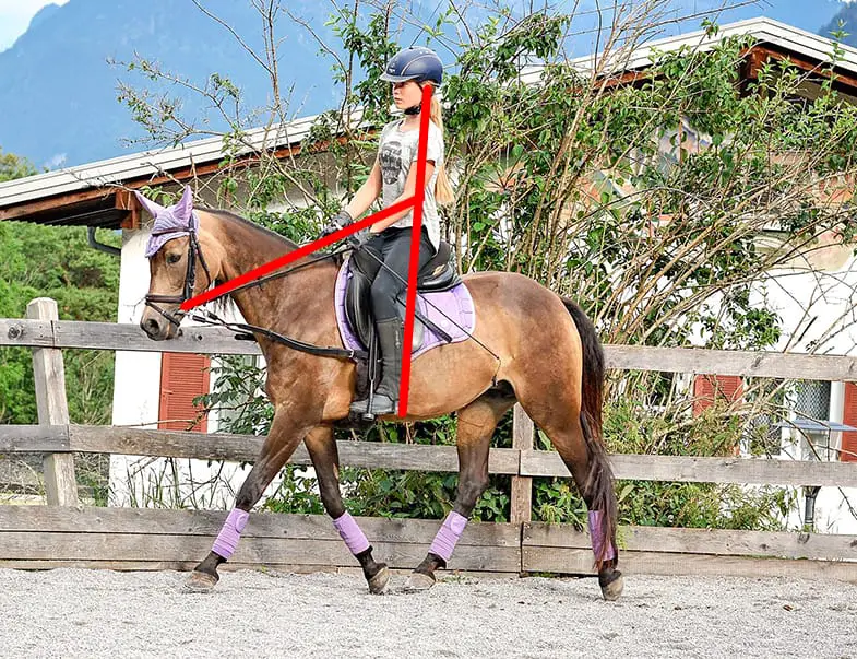 There should be a straight line from your elbow to the reins and from your head to your hips and heels when horse riding