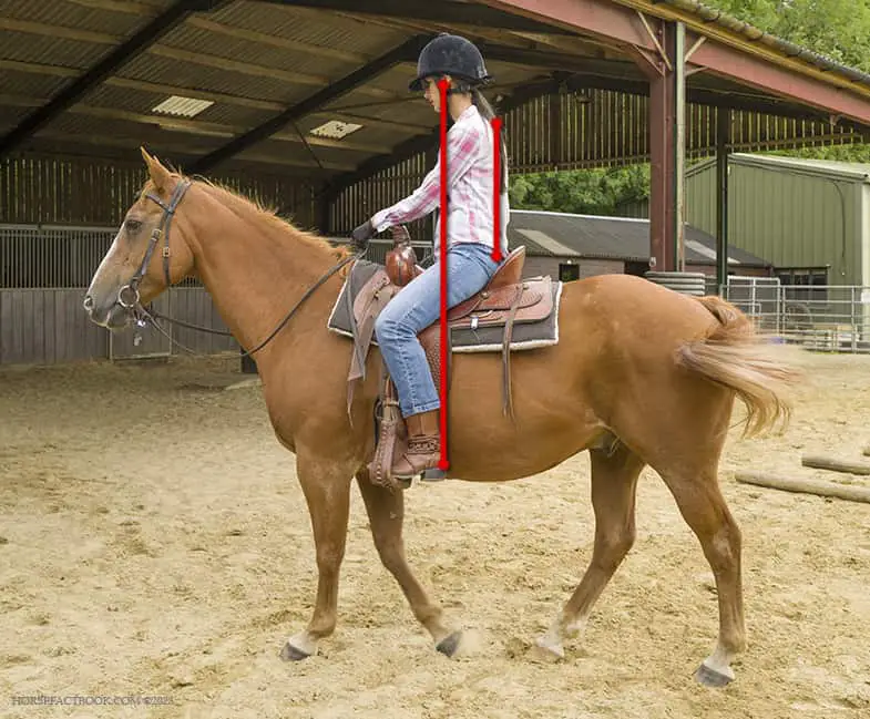 There should be a straight line from your ear to your shoulder and hips as well as from your spine to your horse's