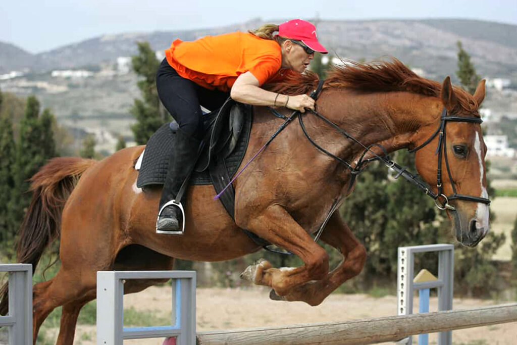 Using A Crop Or Whip When Horseback Riding The Pros And Cons Horse