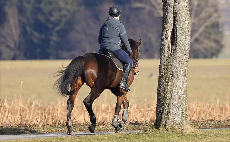 Whether you're riding away from home or towards it may affect your horse's behavior