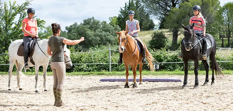 You may prefer group horse riding lessons