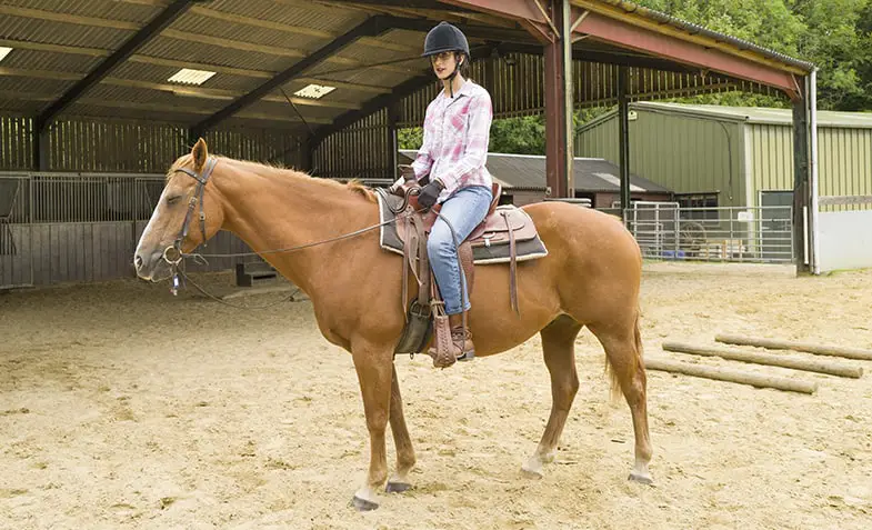 Once you've stopped your horse you should release the pressure on the reins and relax your seat
