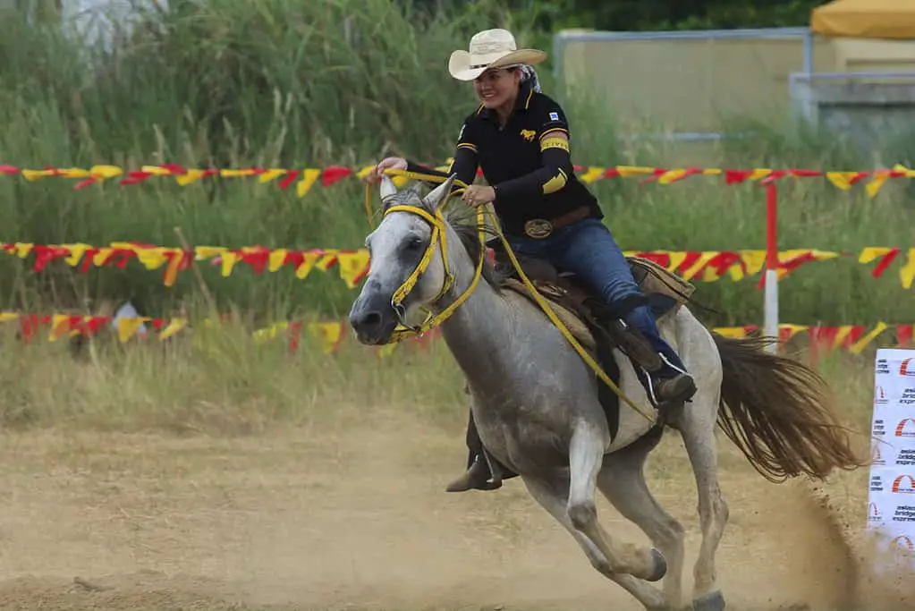 Horse gymkhana is pure adrenaline 