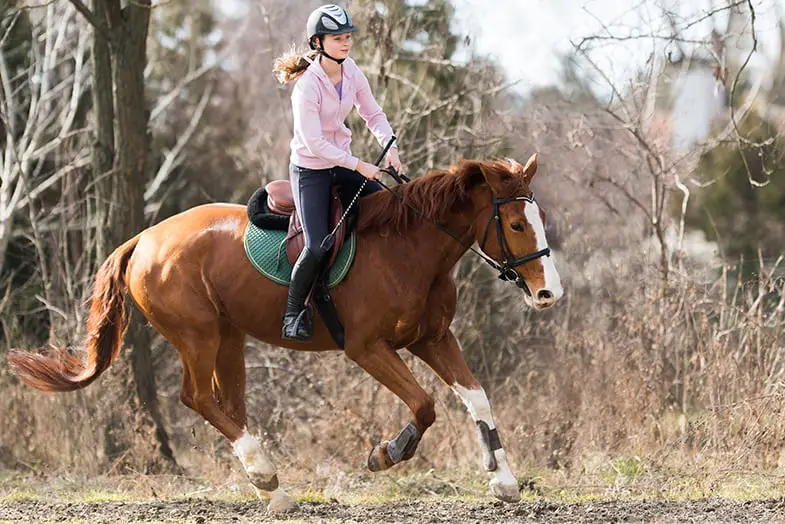 Private horseback riding lessons help you to learn quicker
