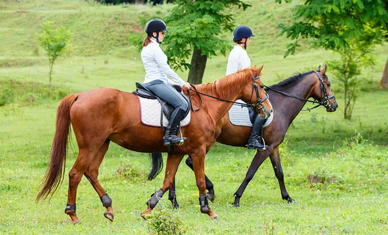 How much do horse riding lessons cost