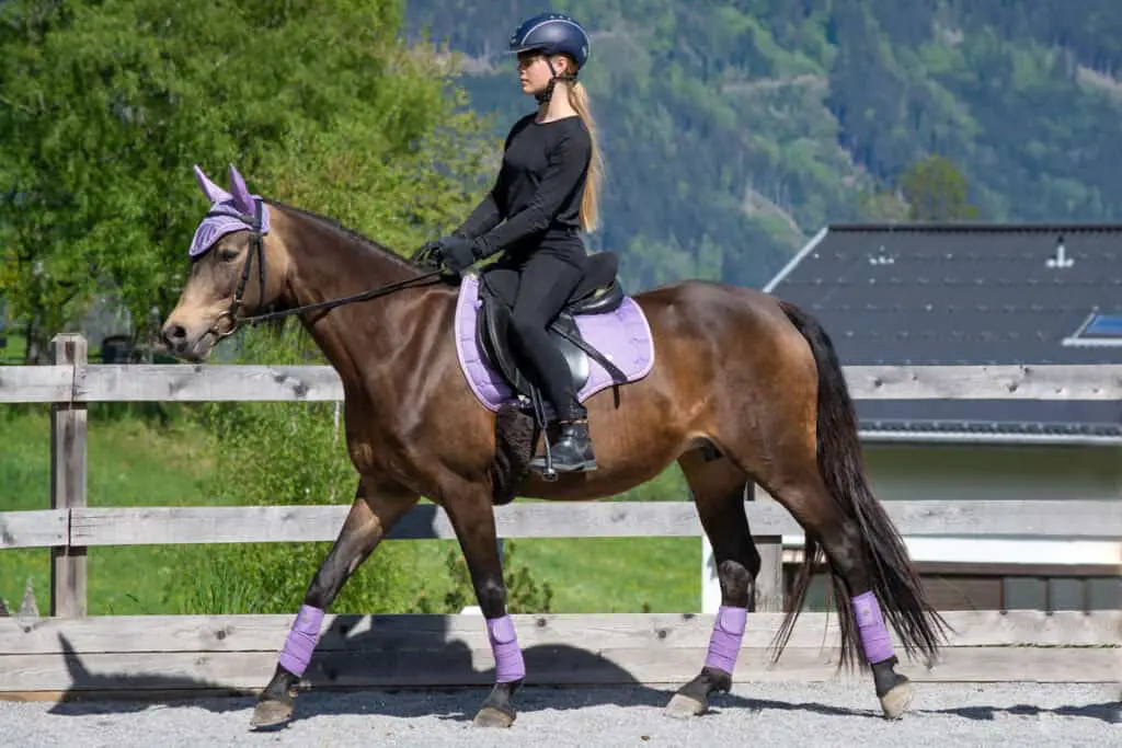 English horseback riding attire