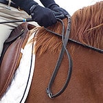 Gloves will protect your hands when horseback riding
