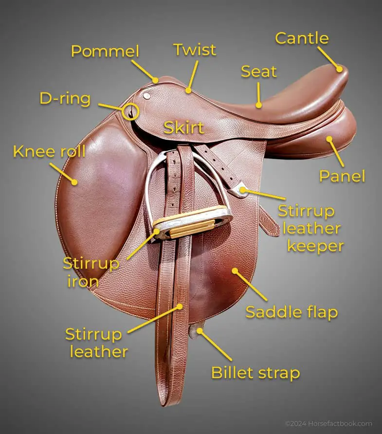 The different parts that make up a riding saddle