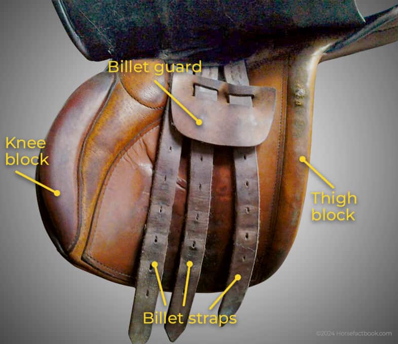 Underneath the saddle flap of an English riding saddle