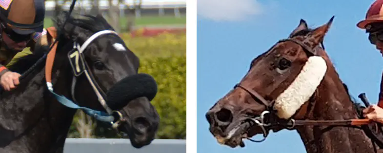 Shadow rolls and winkers are often called blinders